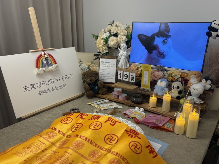 衢州宠物纪念