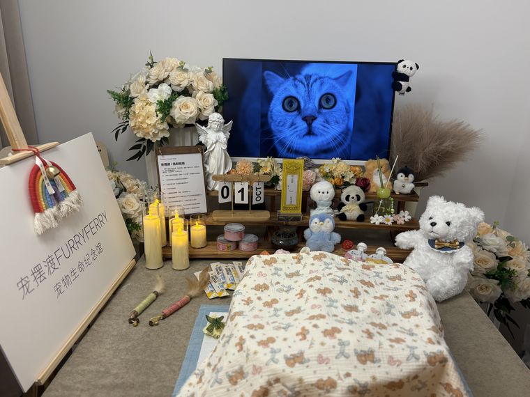 Oliver的告别瞬间